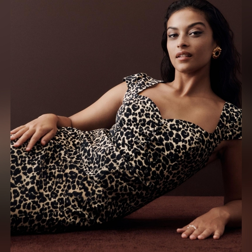 NWT Anthropologie Vintage inspired animal print fit and flare dress. Size M
